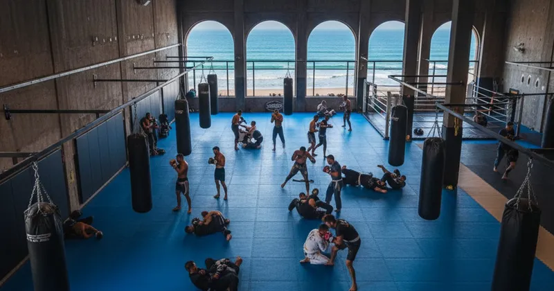 Level UP Fight & Fitness